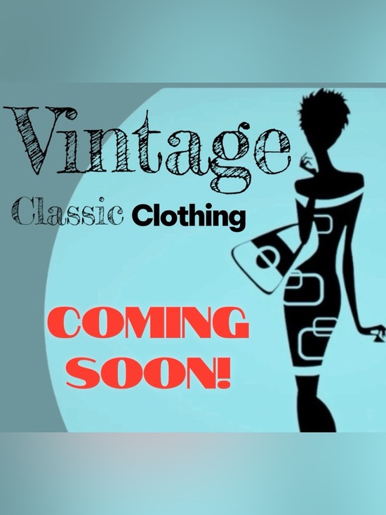 Dresses & Skirts - 200-300- -Vintage Purse Show